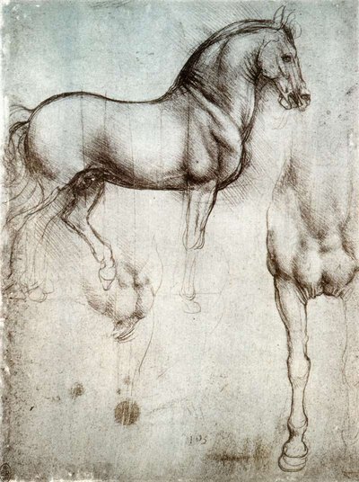 Studie von Pferden von Leonardo da Vinci